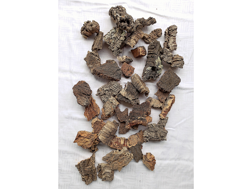 0.4kg - Cork Pieces - from Portugal, for Plants and Terrariums 5