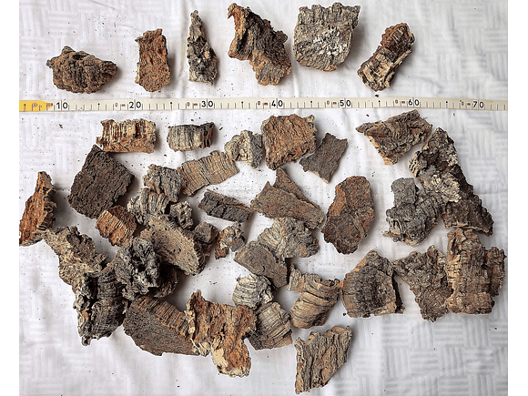 0.4kg - Cork Pieces - from Portugal, for Plants and Terrariums 6