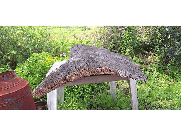 Large Cork Board (100x60x10cm) 2