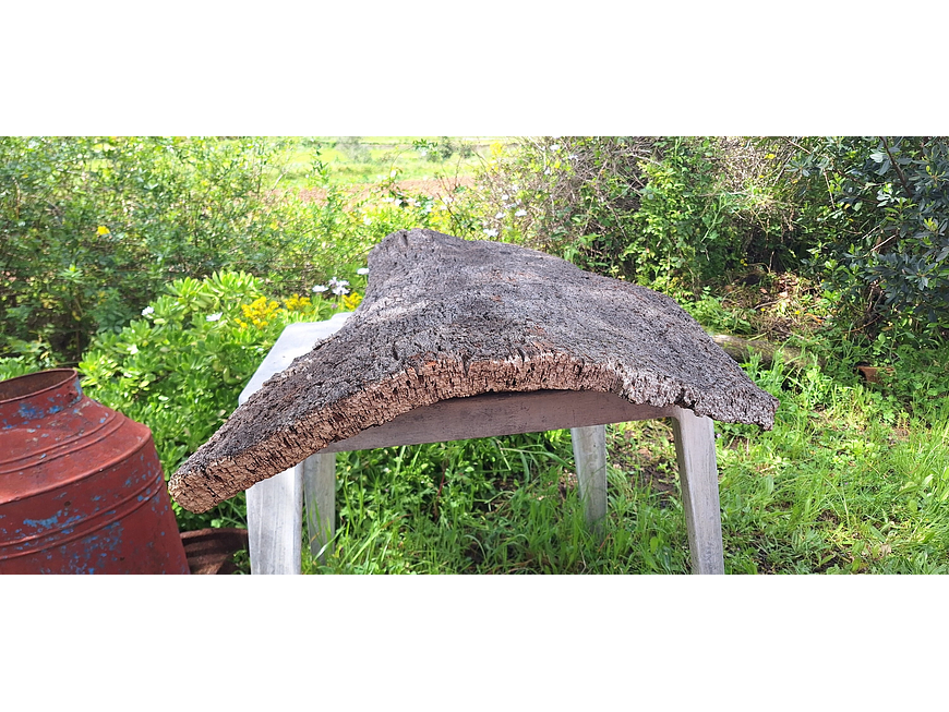 Large Cork Board (100x60x10cm) 2