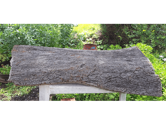 Large Cork Board (100x60x10cm) 4