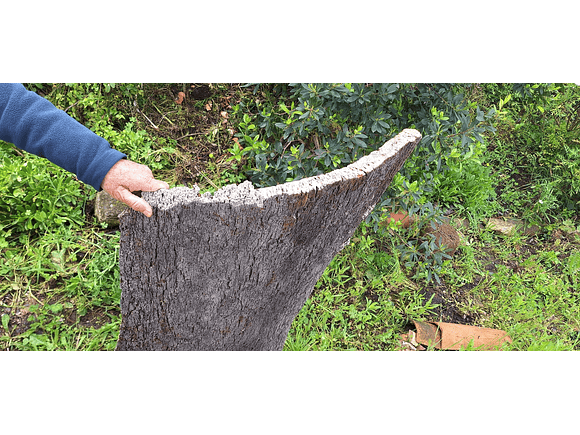 Large Cork Board (100x60x10cm) 1