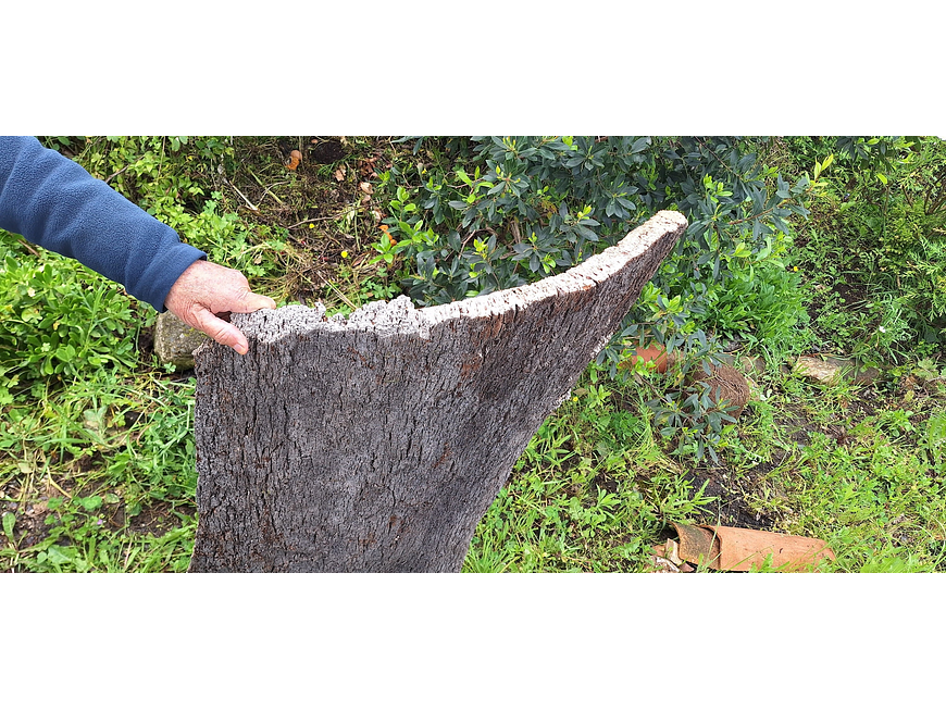 Large Cork Board (100x60x10cm) 1