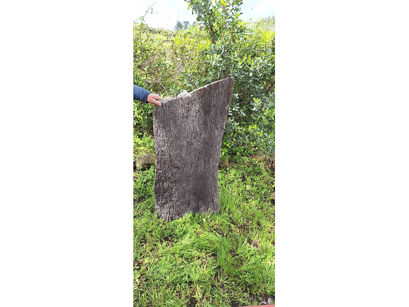 Large Cork Board (100x60x10cm) 5