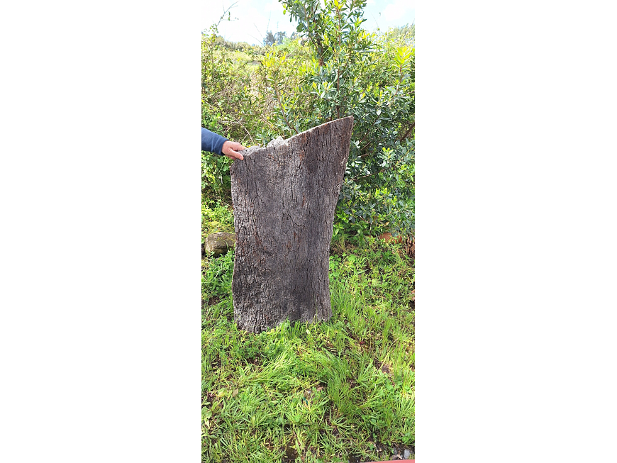 Large Cork Board (100x60x10cm) 5