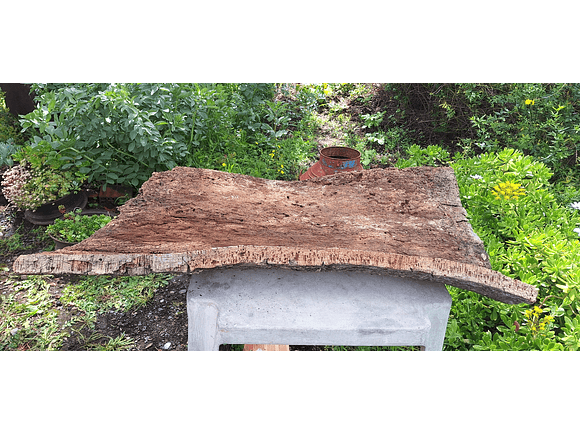 Large Cork Board (100x60x10cm) 6