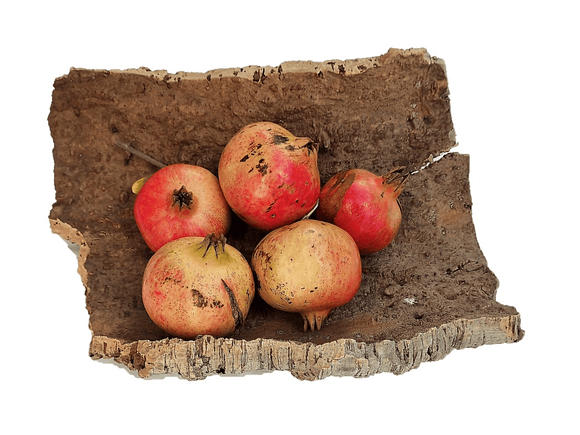 2x Medium-Sized Virgin Cork Sheets: (25x20x7cm) 3