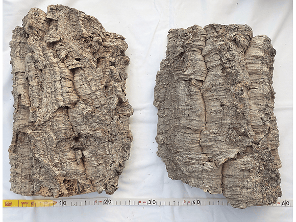 2x Medium-Sized Virgin Cork Sheets: (25x20x7cm) 10
