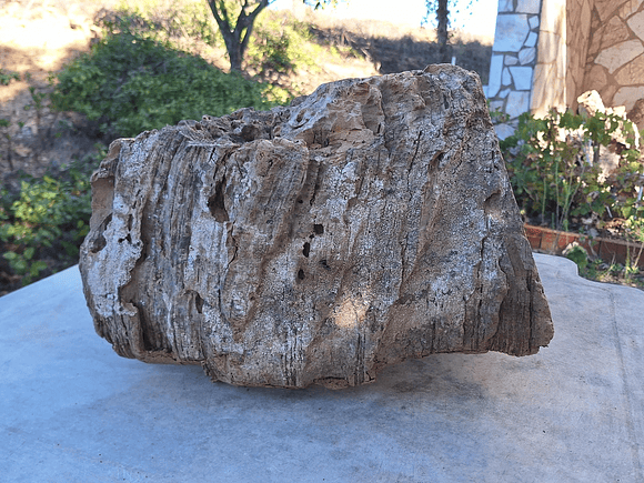 1x Unique antique cork (over 100 years old) 2