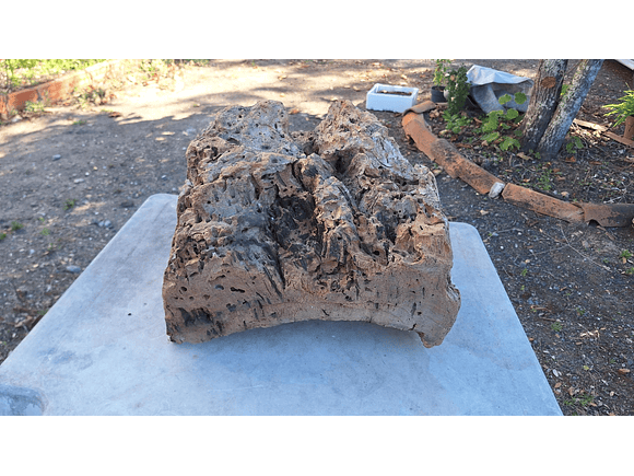 1x Unique antique cork (over 100 years old) 3