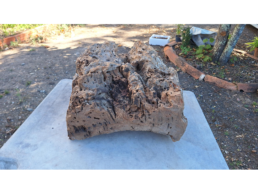 1x Unique antique cork (over 100 years old) 3