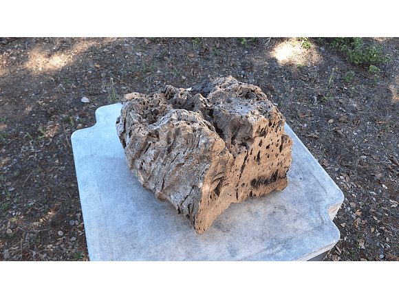 1x Unique antique cork (over 100 years old) 4