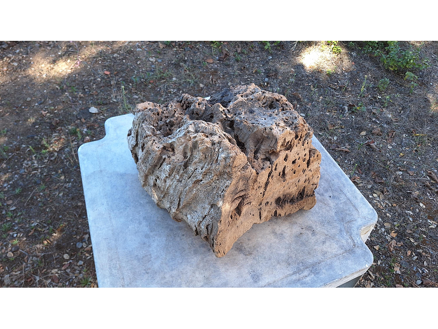 1x Unique antique cork (over 100 years old) 4