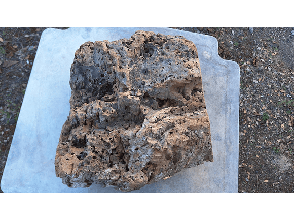 1x Unique antique cork (over 100 years old) 5