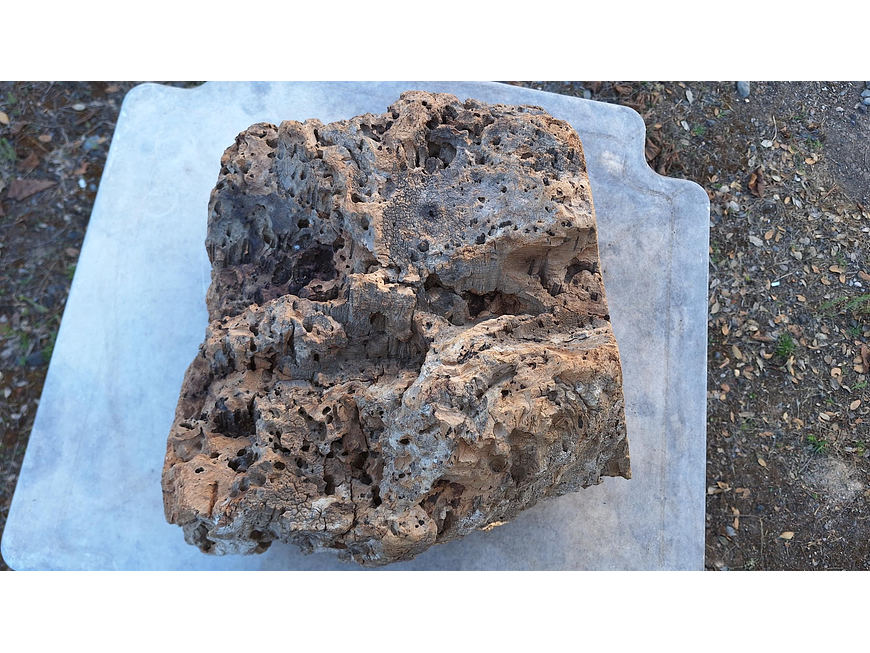 1x Unique antique cork (over 100 years old) 5