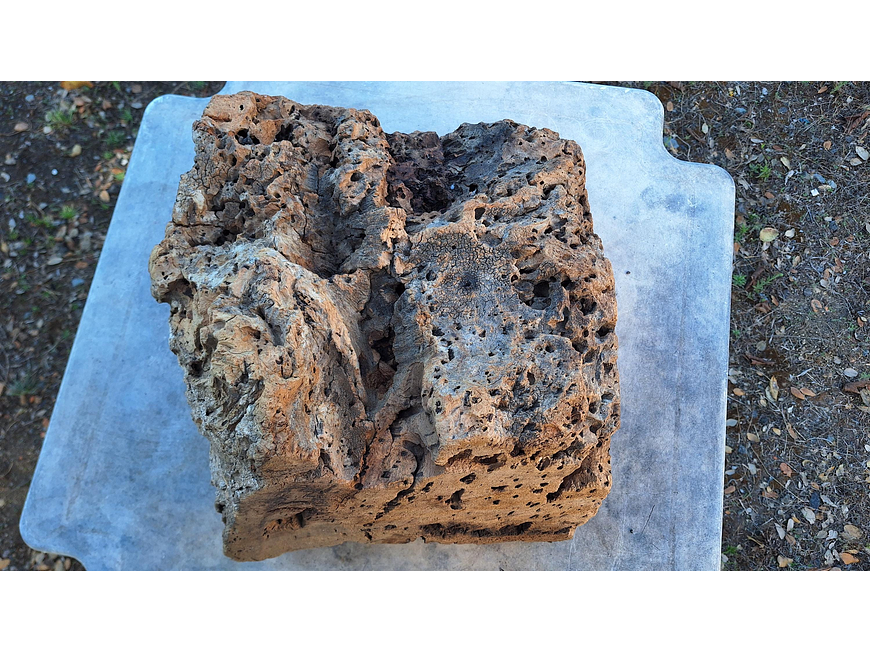 1x Unique antique cork (over 100 years old) 6