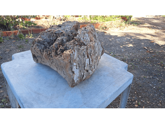 1x Unique antique cork (over 100 years old) 7