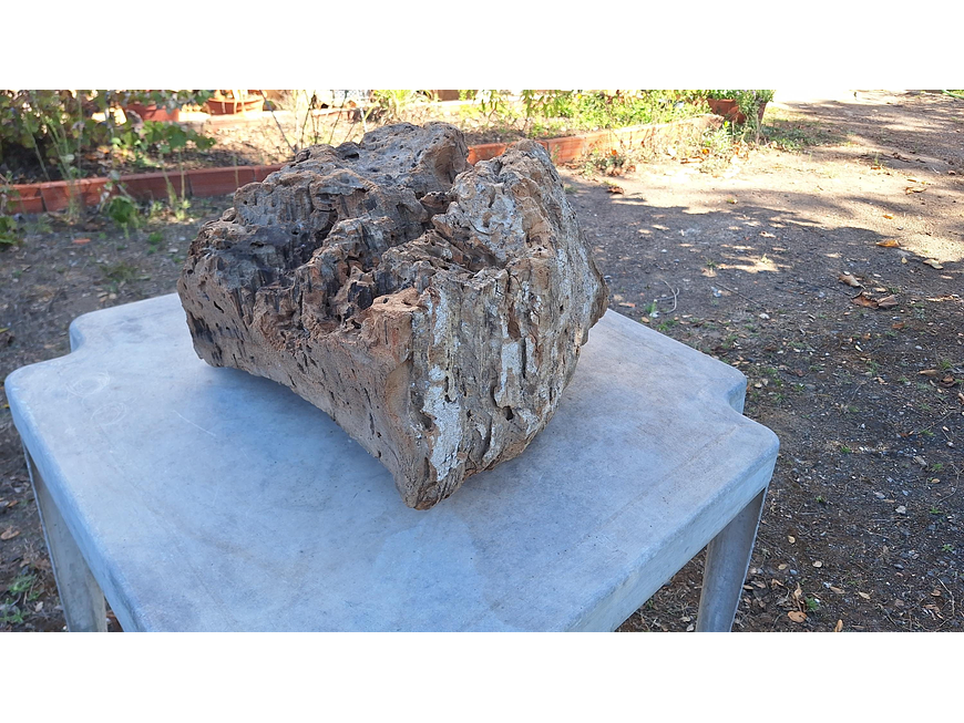 1x Unique antique cork (over 100 years old) 7