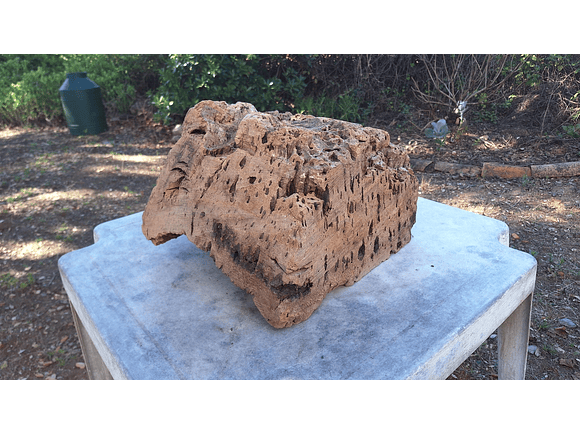 1x Unique antique cork (over 100 years old) 9