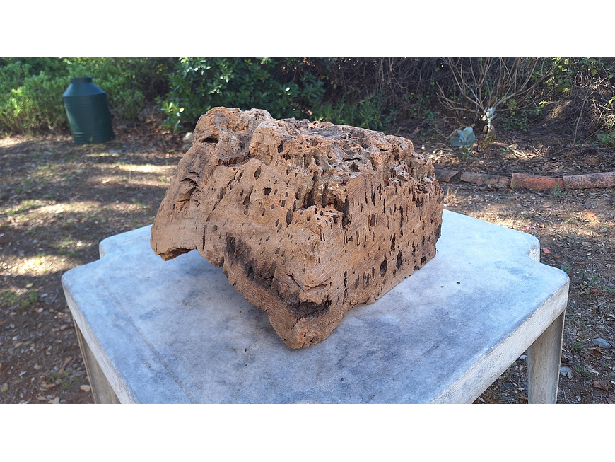 1x Unique antique cork (over 100 years old) 9