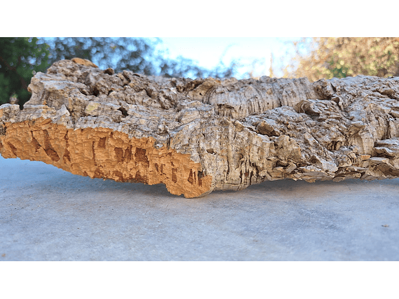 1x Medium-sized virgin cork board: (25x20x5cm) 2