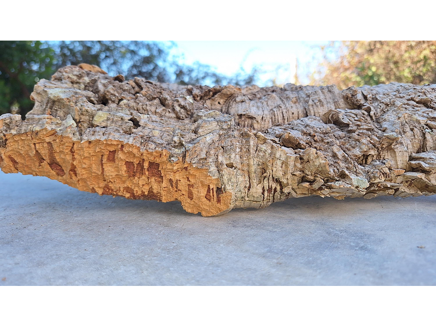 1x Medium-sized virgin cork board: (25x20x5cm) 2