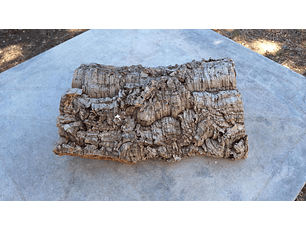 1x Medium-sized virgin cork board: (25x20x5cm)