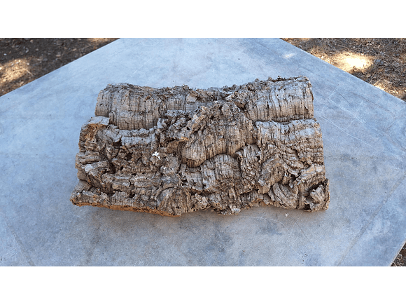 1x Medium-sized virgin cork board: (25x20x5cm) 1