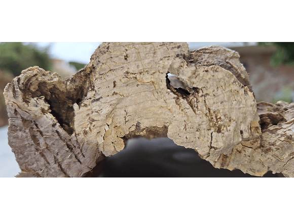 1x Medium-sized virgin cork board: (25x20x5cm) 7