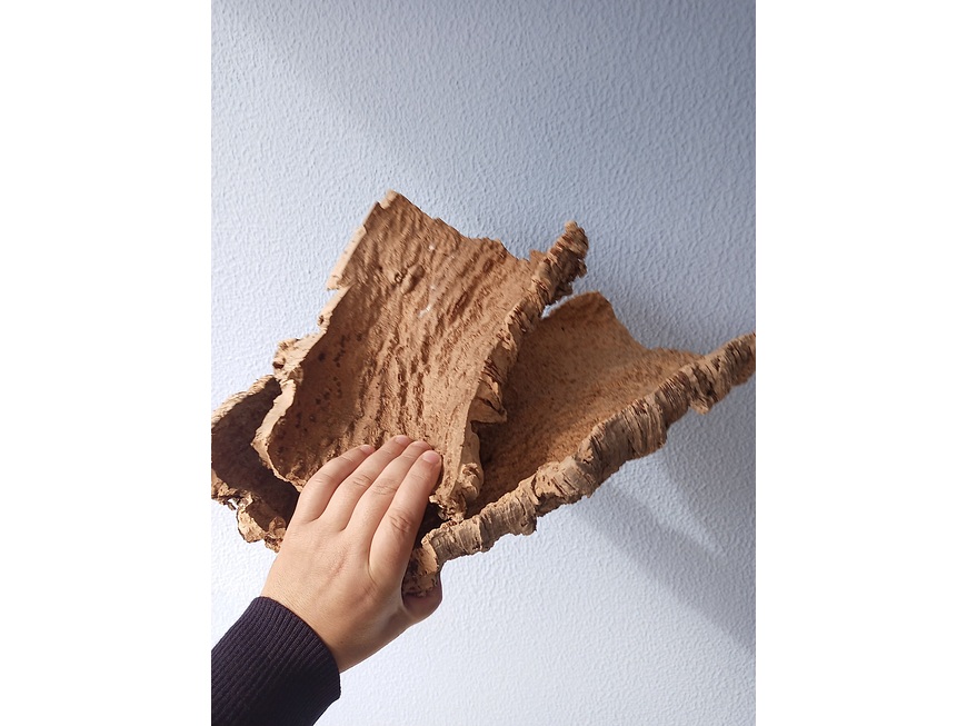 3x Small Sheets of Virgin Cork (25x15x5cm) 4