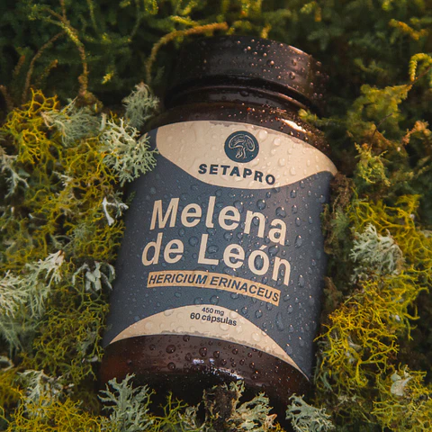 Melena de León por 60 Cápsulas