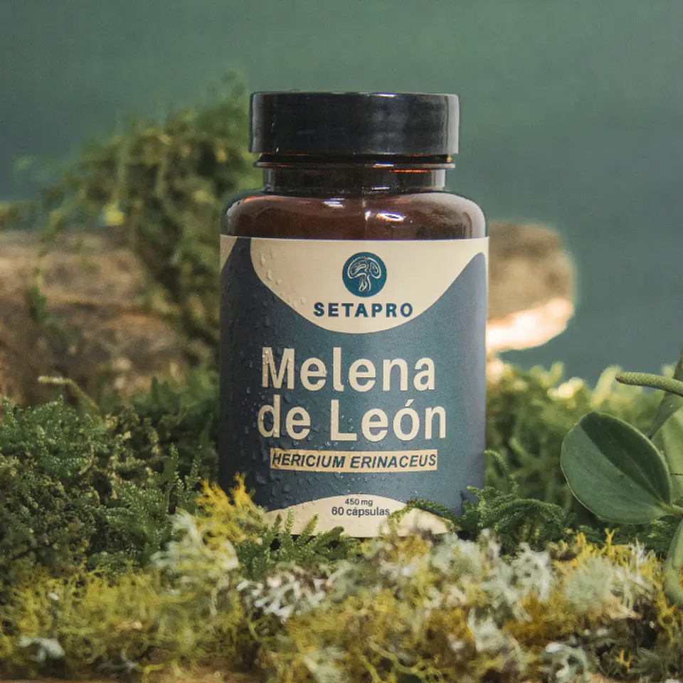 Melena de León por 60 Cápsulas 3
