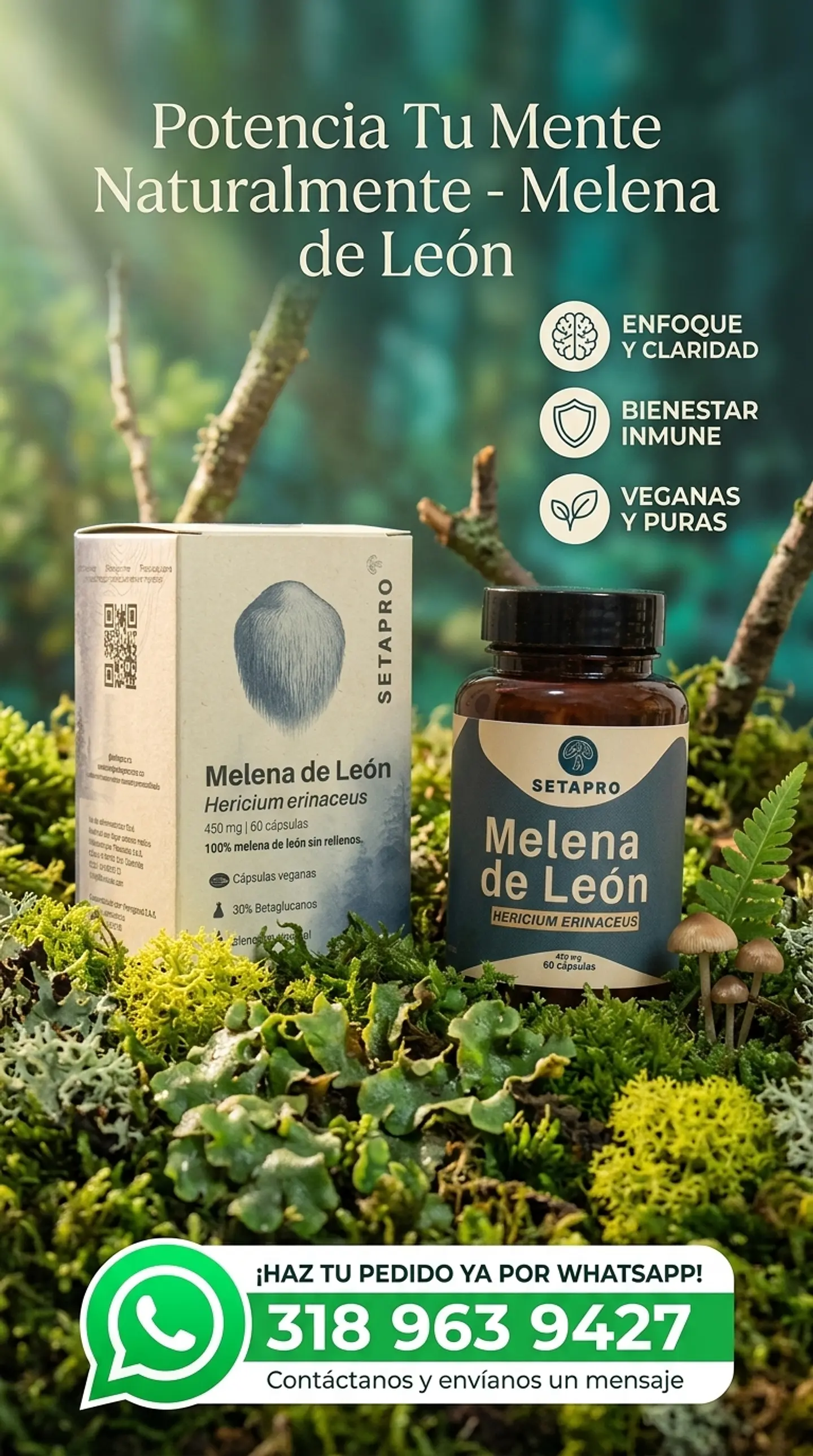Melena de León en cápsulas