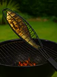 Grill Rejilla Antiadherente Para Asar Pescado Stellen - Miniatura 3