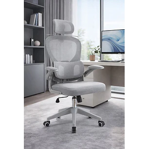 Silla Ergonomica de Oficina para Escritorio Boise Gris
