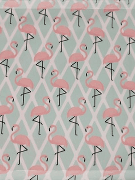 Licra flamingos