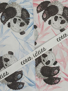 Panda Bear