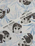 Panda Bear