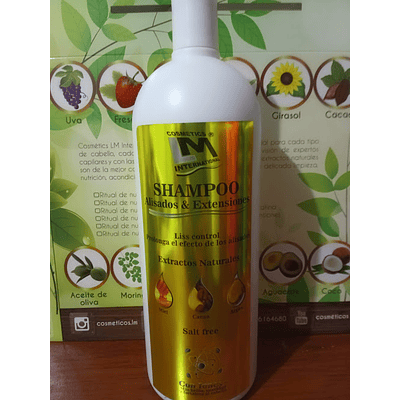 Shampoo Cabellos  Alisados & Extensiones X 1000 ML.