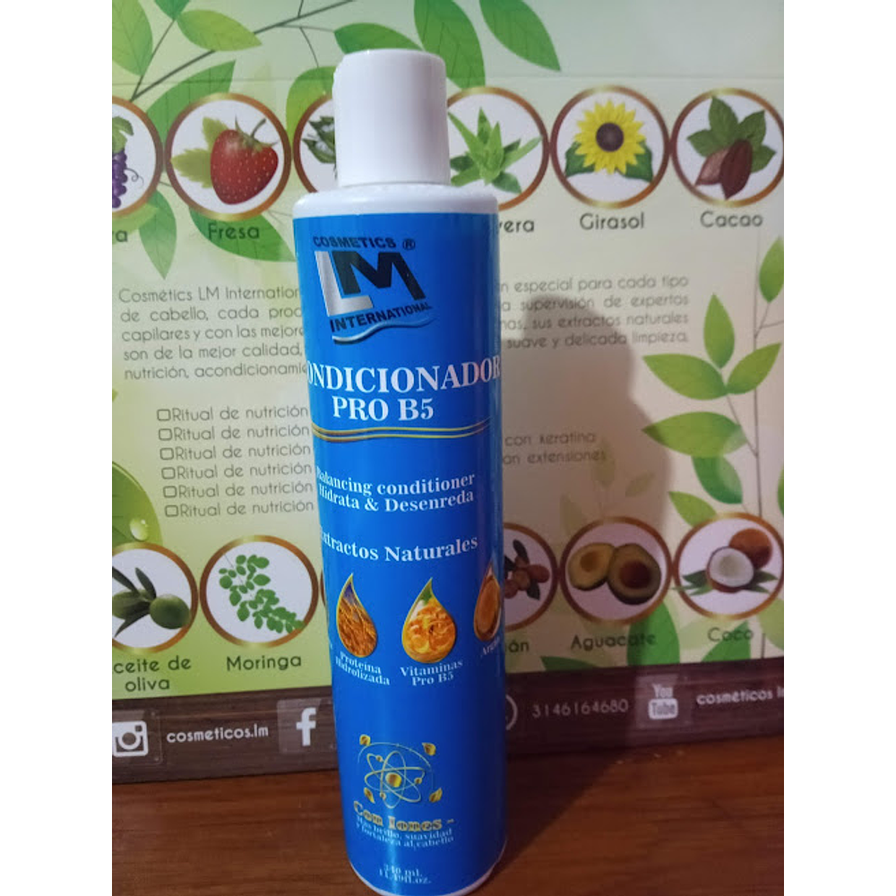 Acondicionador PRO - B5 x 340 ml.