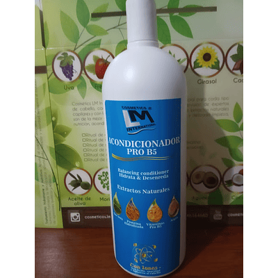 Acondicionador PRO - B5 x 1000 ml.
