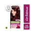 Tintura Cor Intensa Castaño Rojizo 4.6 45 G - GARNIER
