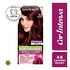 Tintura Cor Intensa Castaño Rojizo 4.6 45 G - GARNIER