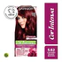 Tintura Cor Intensa Castaño Rojizo Irisado 5.62 45 G - GARNIER