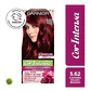Tintura Cor Intensa Castaño Rojizo Irisado 5.62 45 G - GARNIER - Miniatura 1