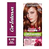 Tintura Cor Intensa Rojo Cobrizo 6.46 45 G - GARNIER