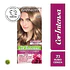 Tintura Cor Intensa Rubio Cenizo 7.1 45 G - GARNIER