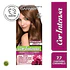 Tintura Cor Intensa Castaño Caramelo 7.7 45 G - GARNIER