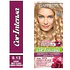 Tintura Cor Intensa Rubio Muy Claro Cenizo Dorado 9.13 45 G - GARNIER