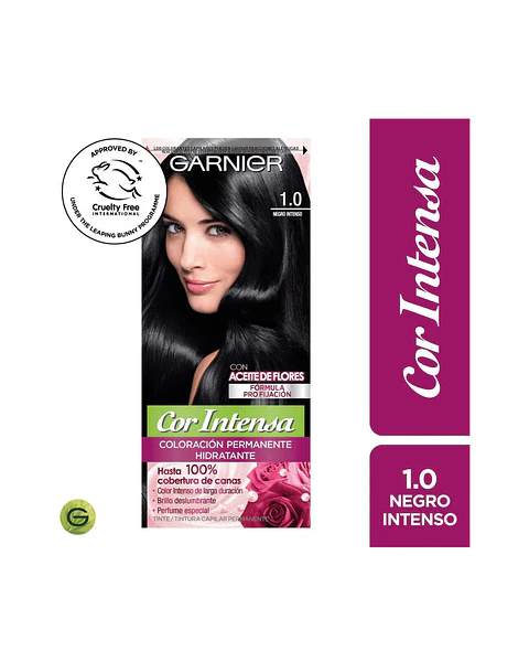 Tintura Cor Intensa Negro Intenso 1.0 45 G - GARNIER